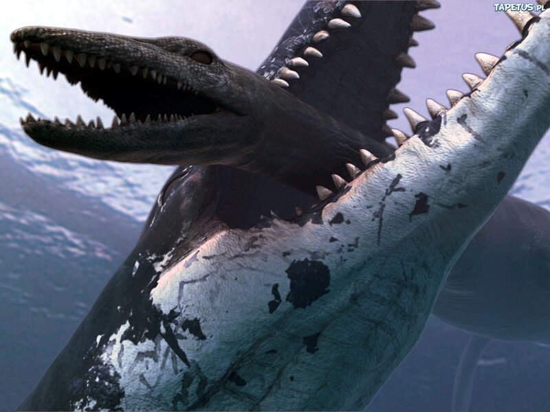 Prehistoric Marine Reptile — Gray, Dramatic