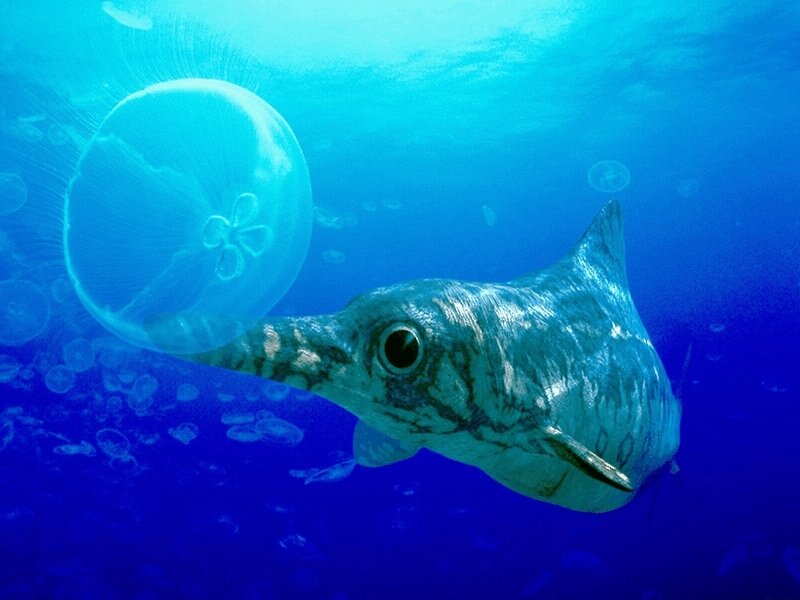 prehistoric marine reptile swimming