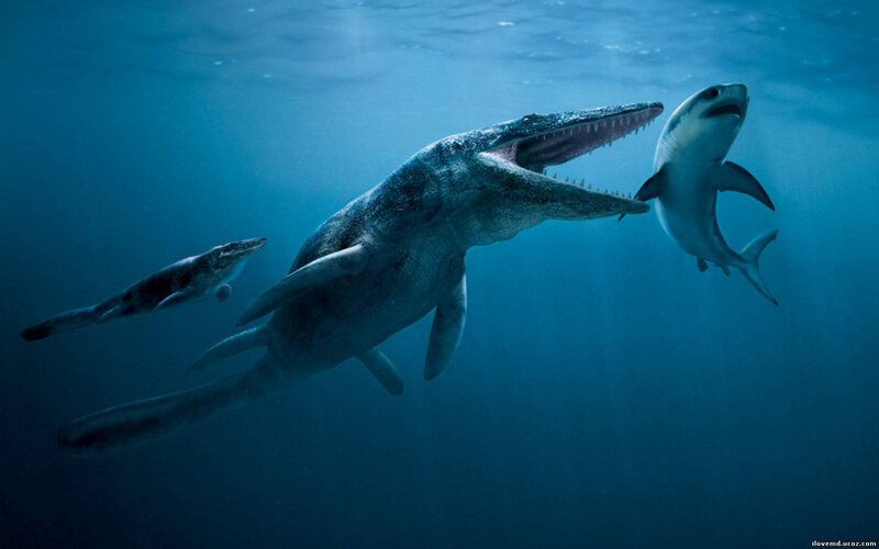 Prehistoric Marine Reptiles — Blue