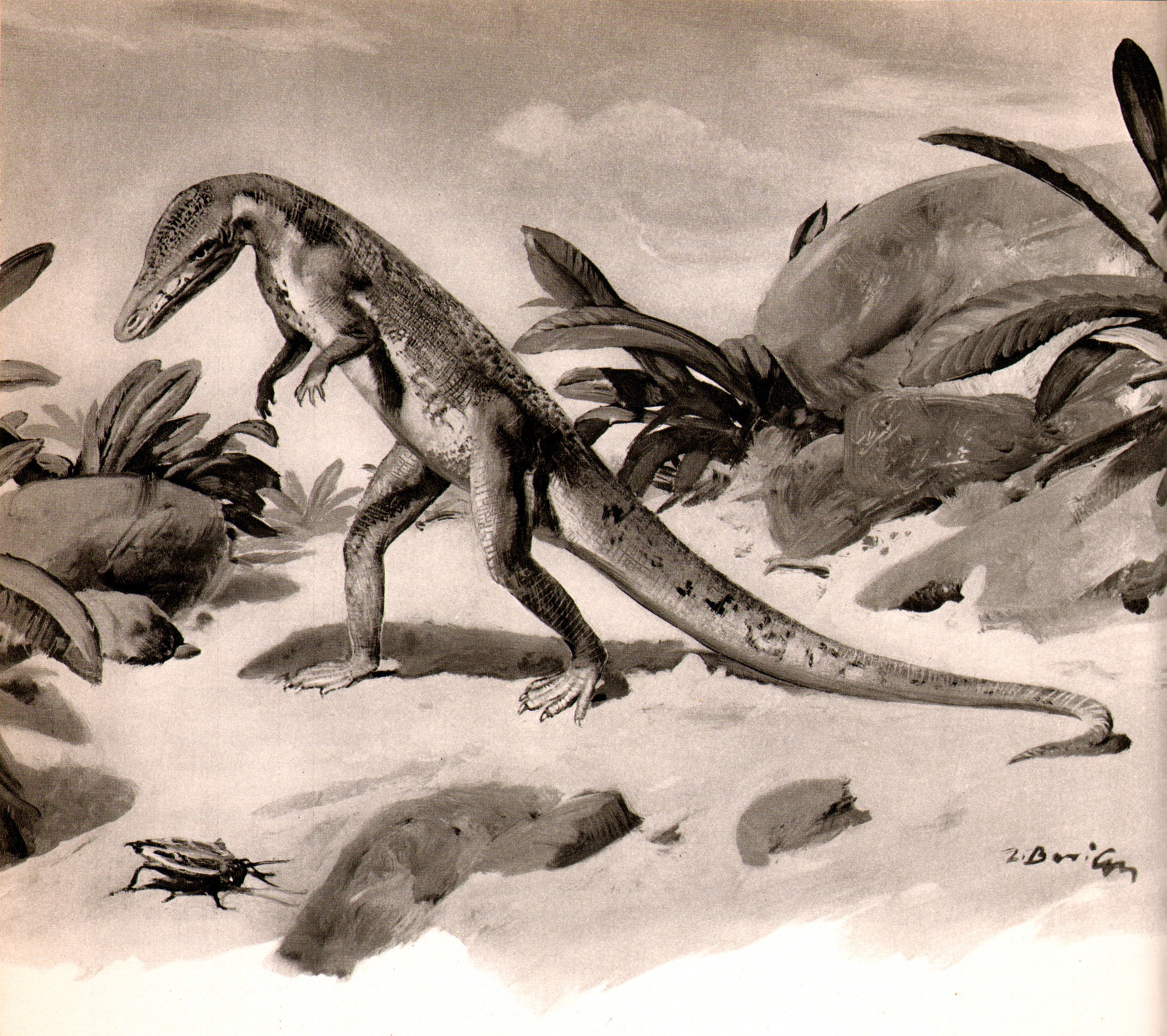 prehistoric reptile illustration