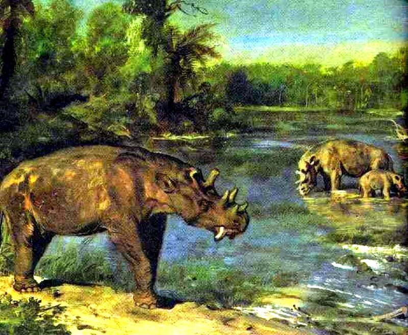 prehistoric rhino-like creatures