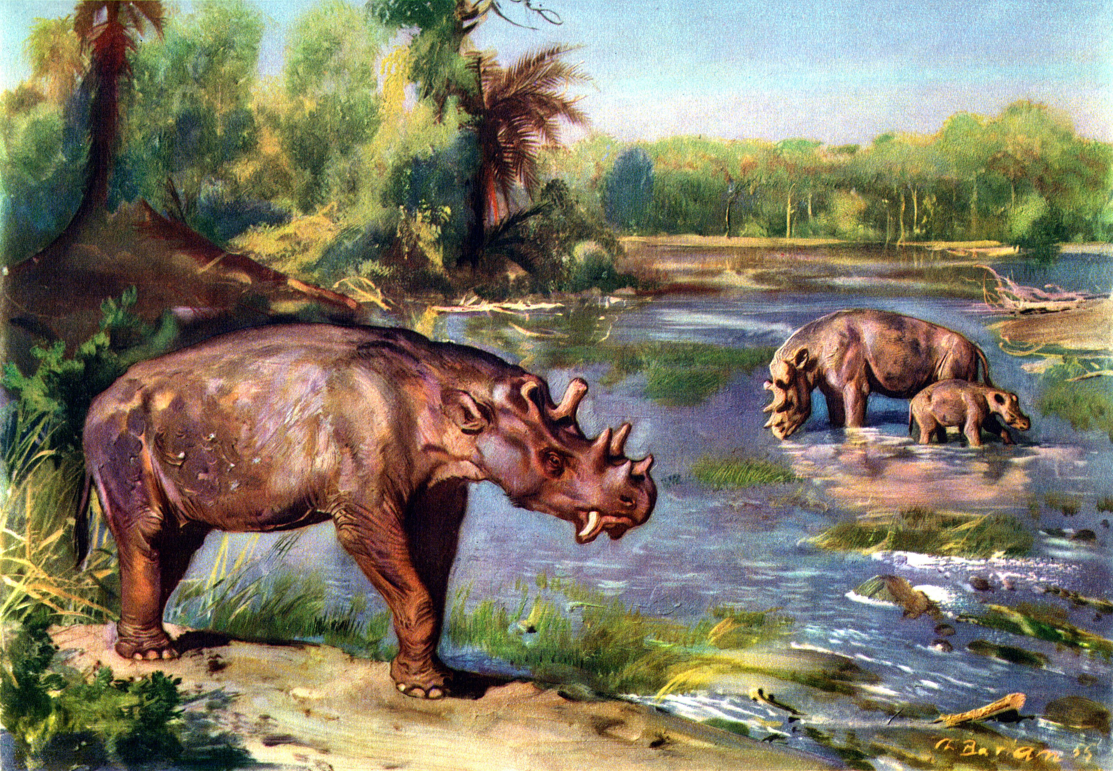 Prehistoric rhino-like creatures