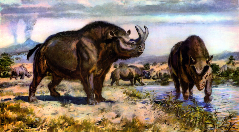 Prehistoric rhinoceroses at a watering hole