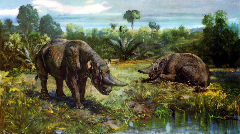 Prehistoric rhinoceroses in a lush landscape