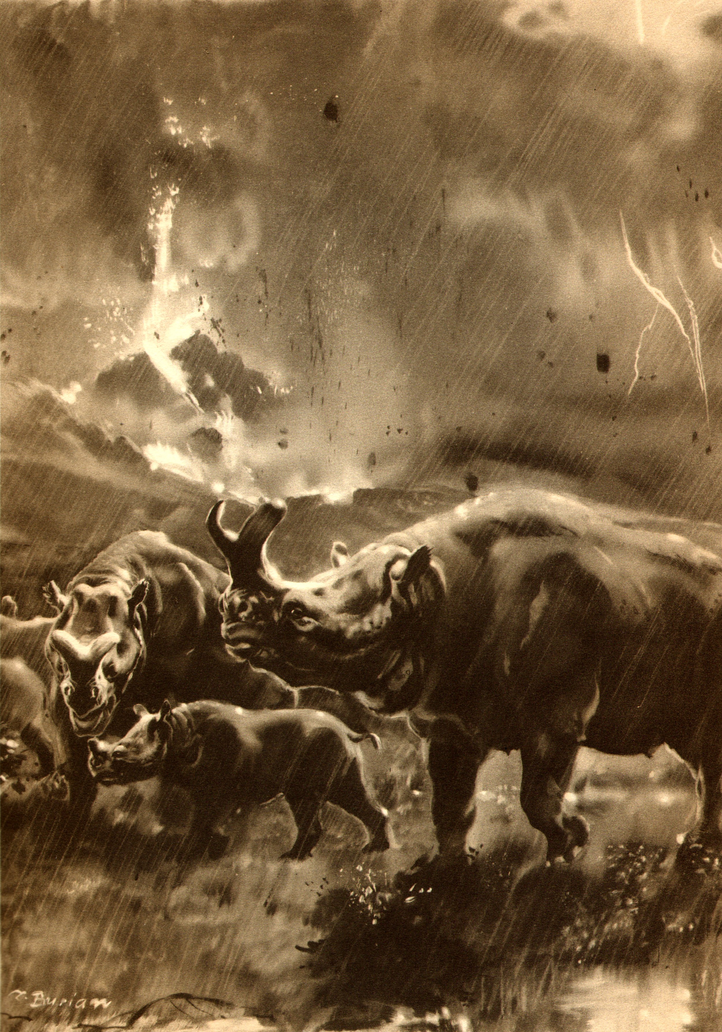 Prehistoric rhinos in storm