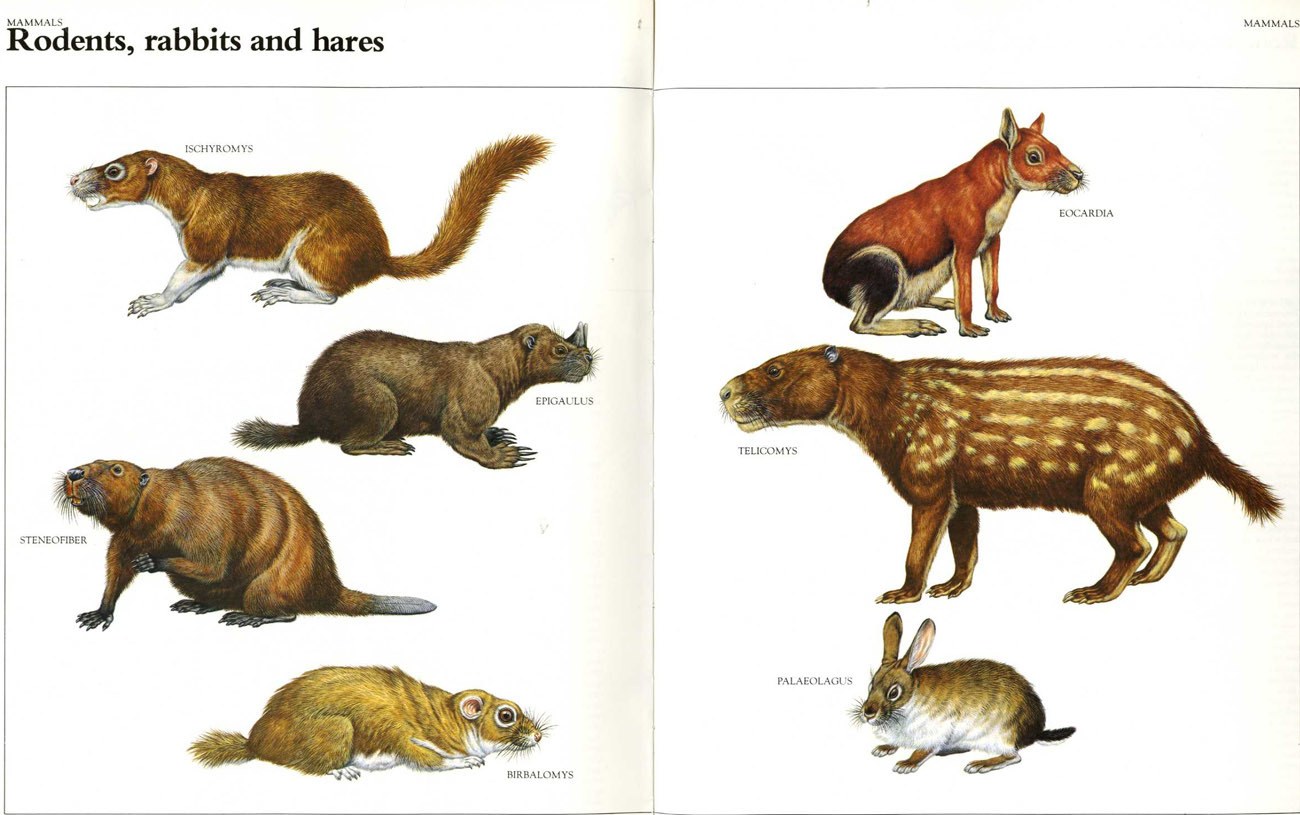 Prehistoric rodents and lagomorphs