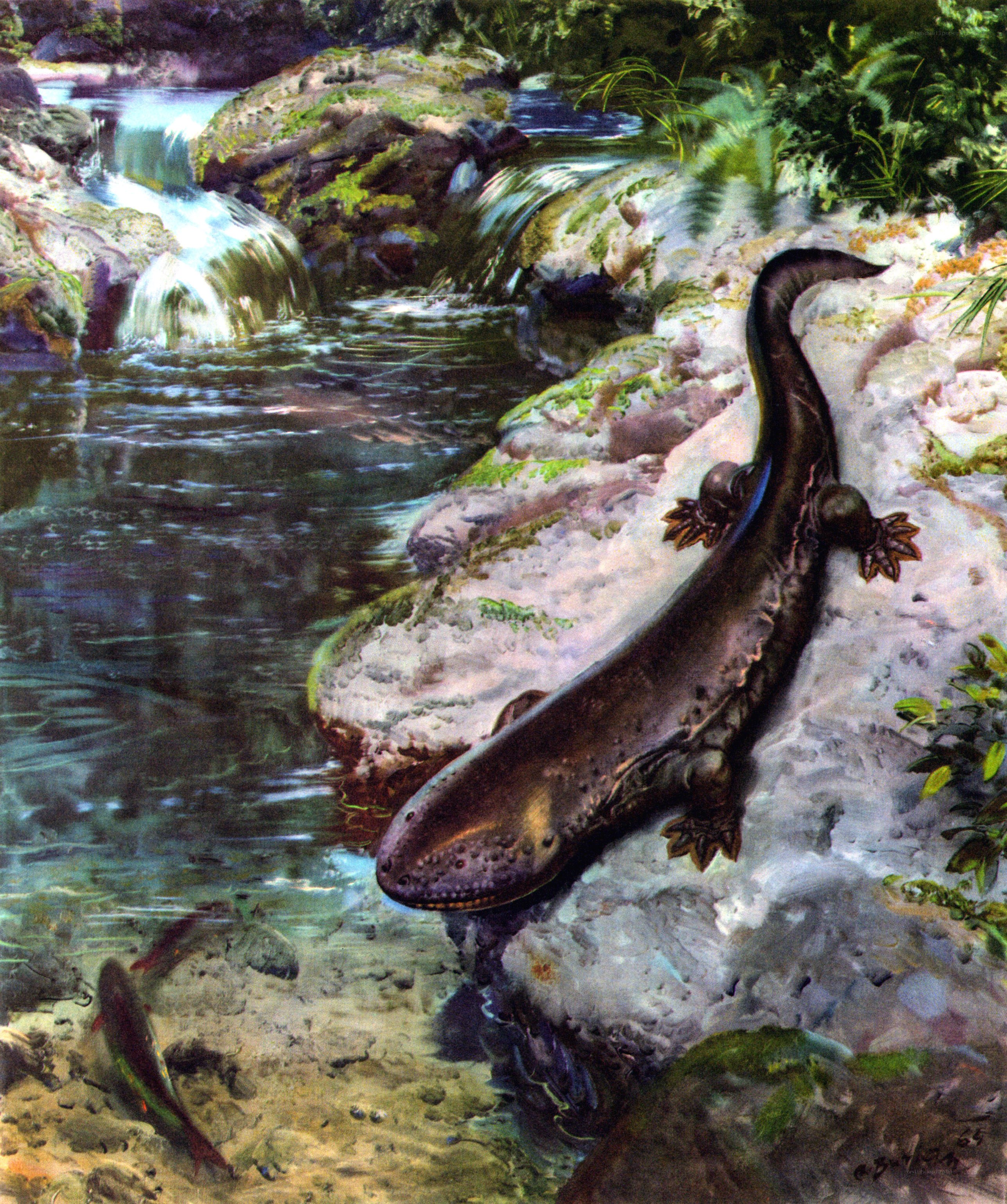 Prehistoric salamander by stream