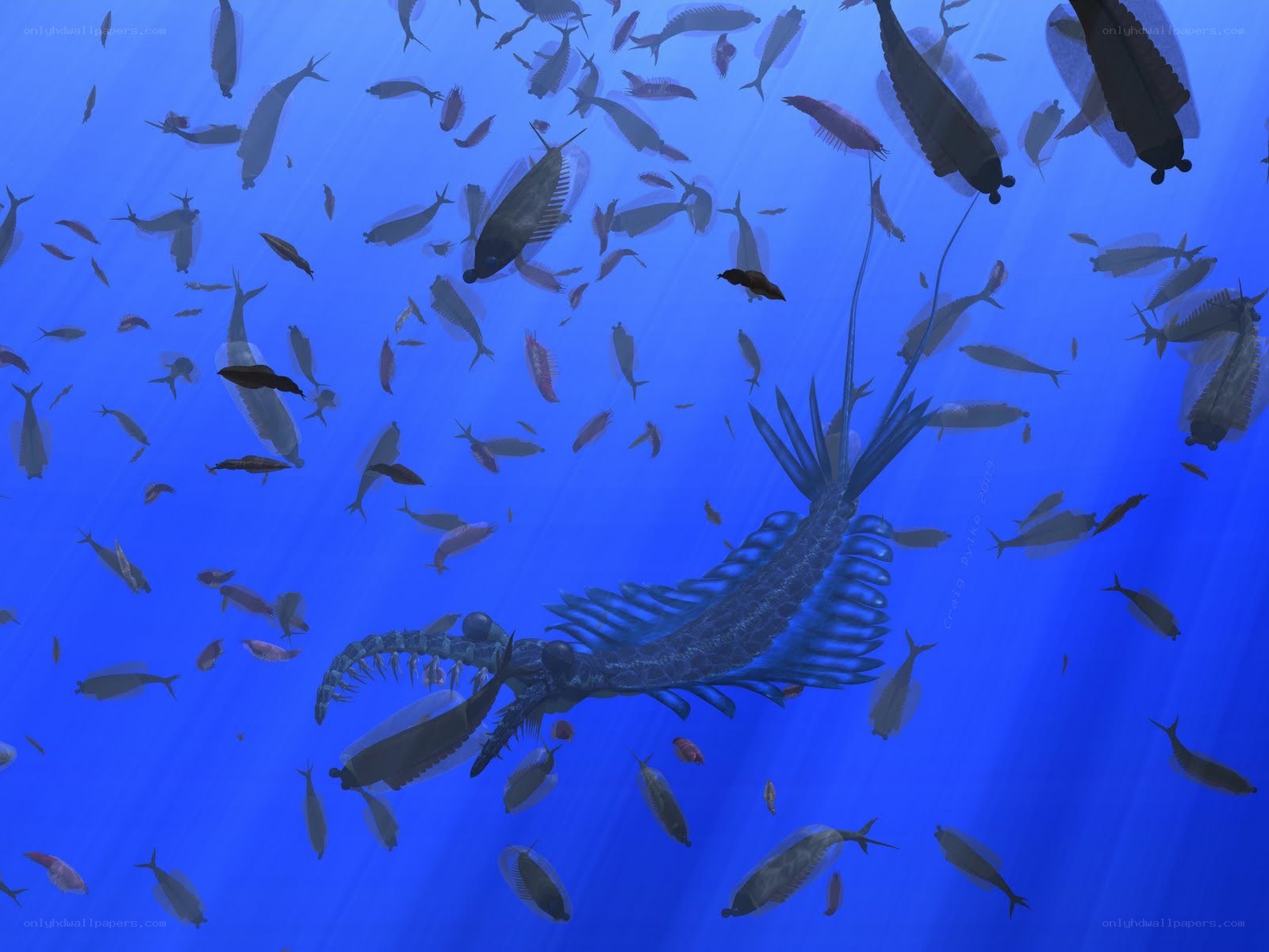 prehistoric sea creature swimming