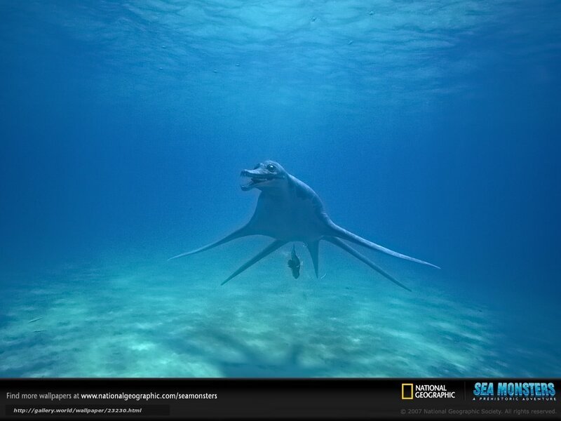 Prehistoric Sea Creature