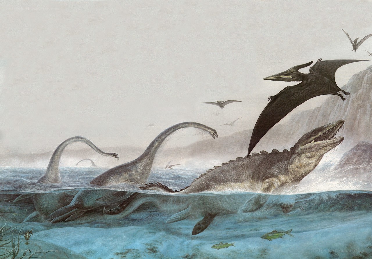 Prehistoric sea creatures