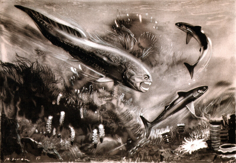 Prehistoric sea life illustration