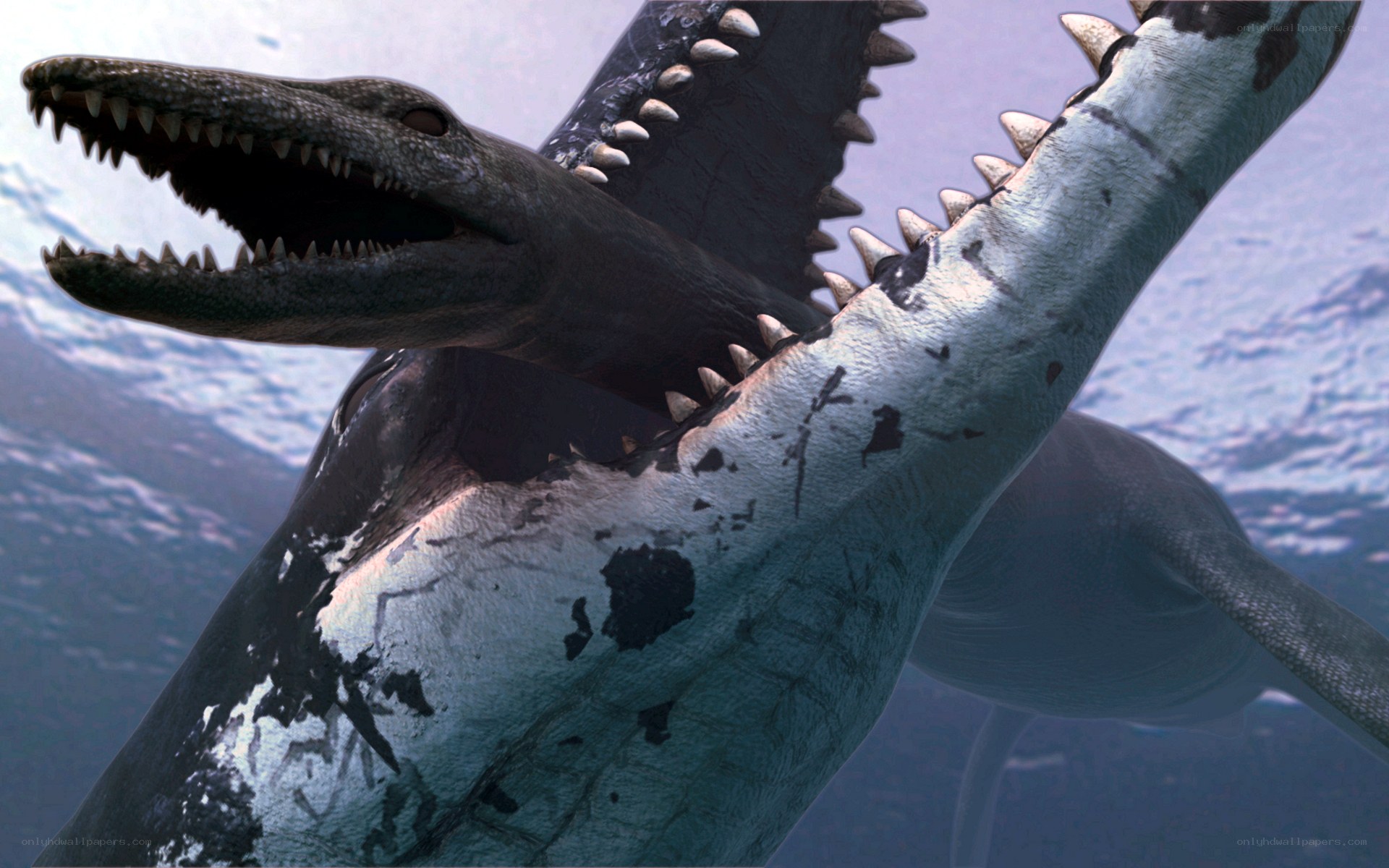 Prehistoric sea monster attack