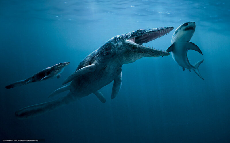 Prehistoric sea predators