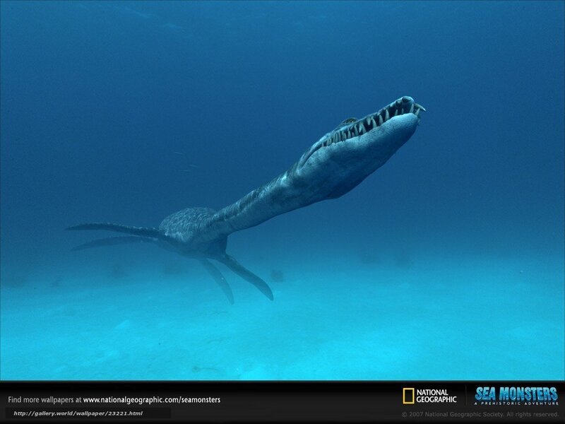 Prehistoric Sea Reptile