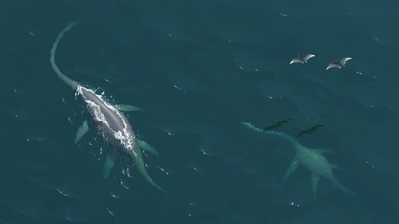 Prehistoric Sea Reptiles
