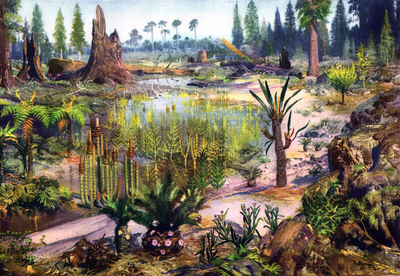 Prehistoric swamp landscape