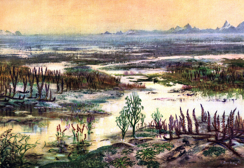 Prehistoric swamp landscape