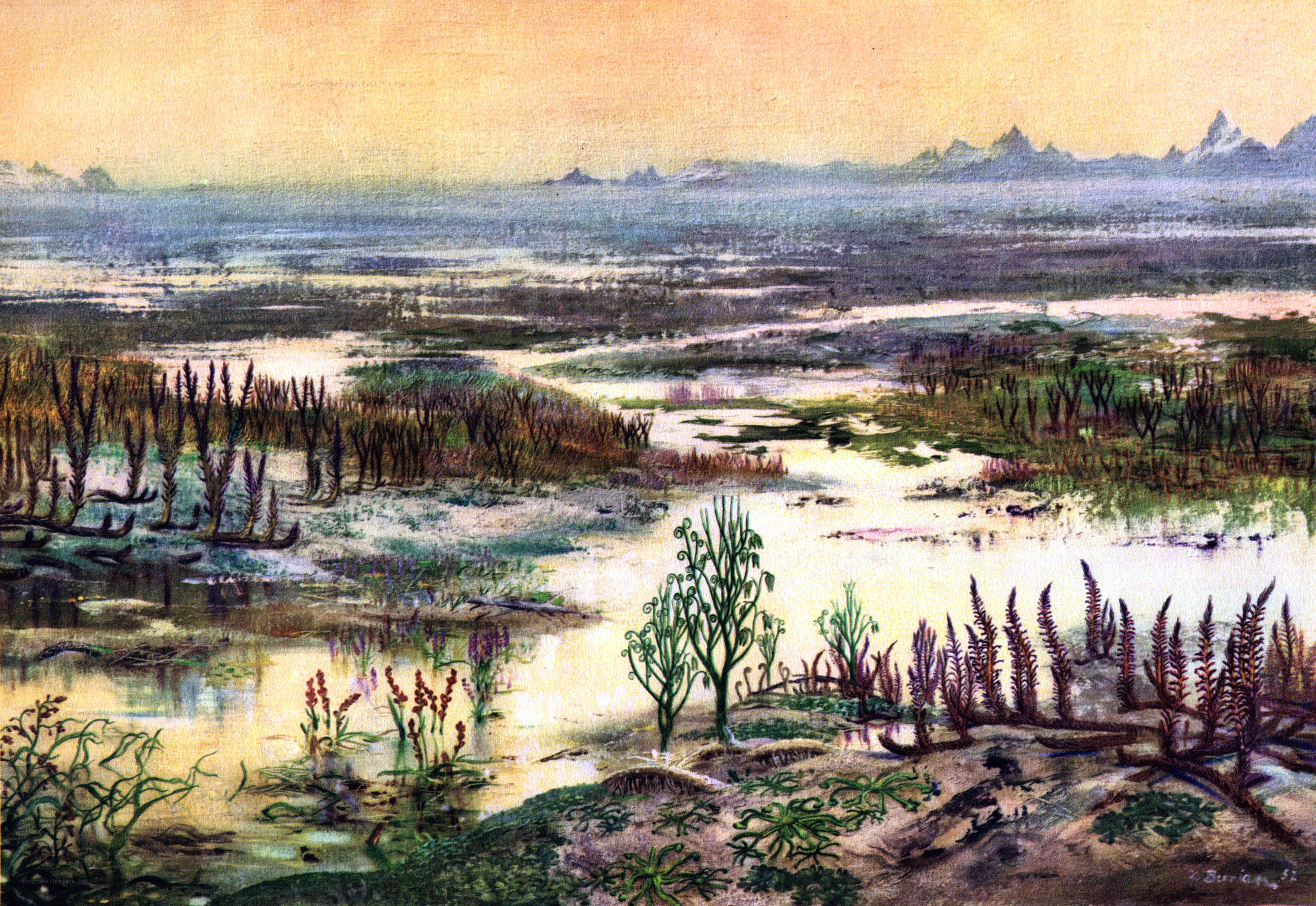 Prehistoric swamp landscape