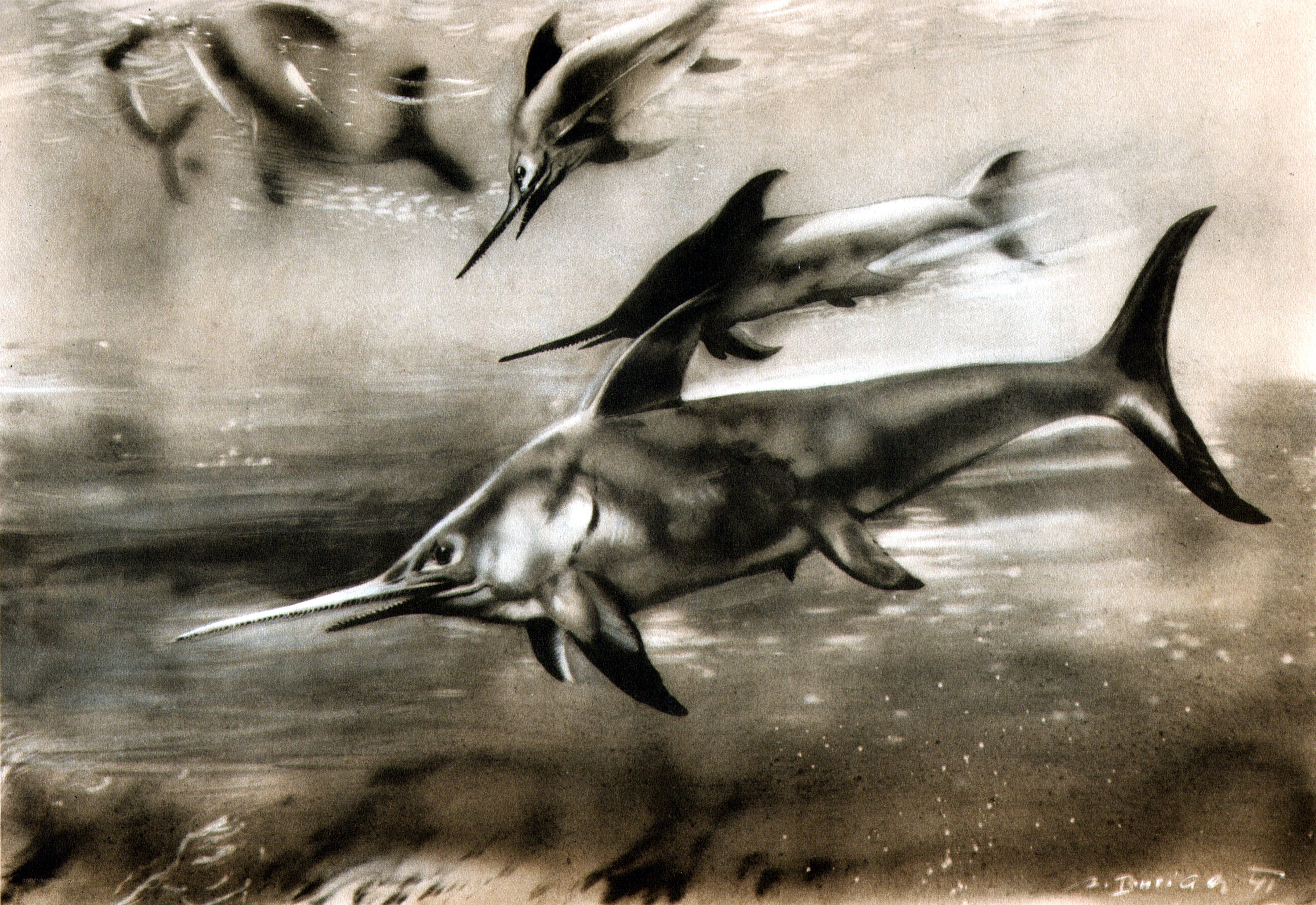Prehistoric swordfish in ocean