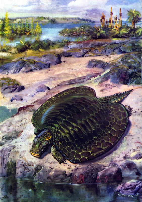 Prehistoric turtle on riverbank