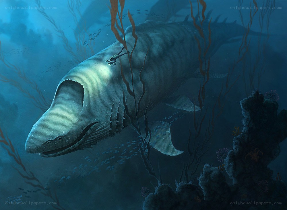 Prehistoric whale in deep sea