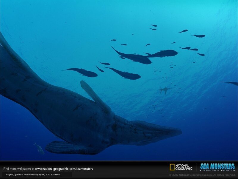 Prehistoric Whale Swimming
