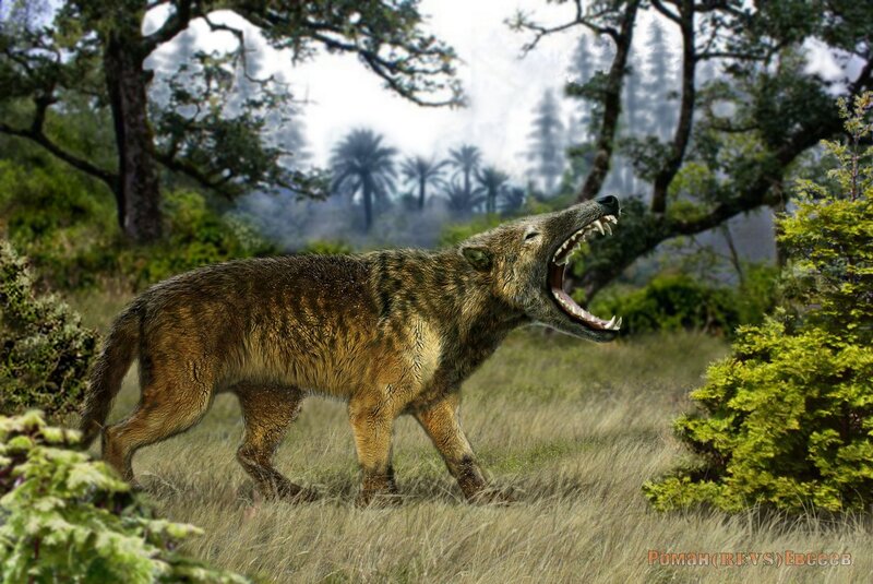 Prehistoric Wolf