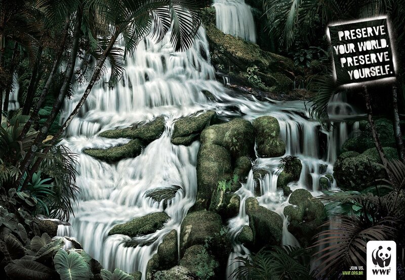 Preserve Your World