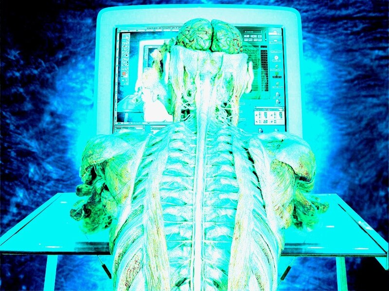 Preserved Human Body