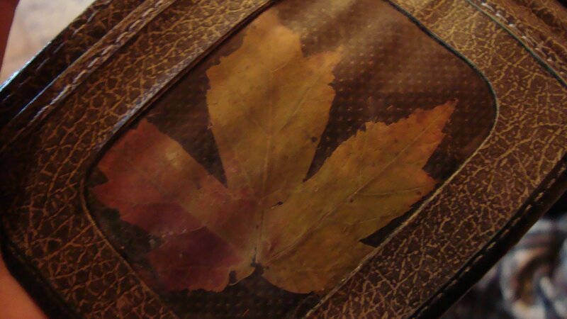 pressed leaf in a wallet