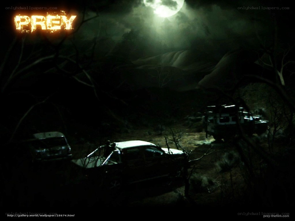 Prey movie night scene