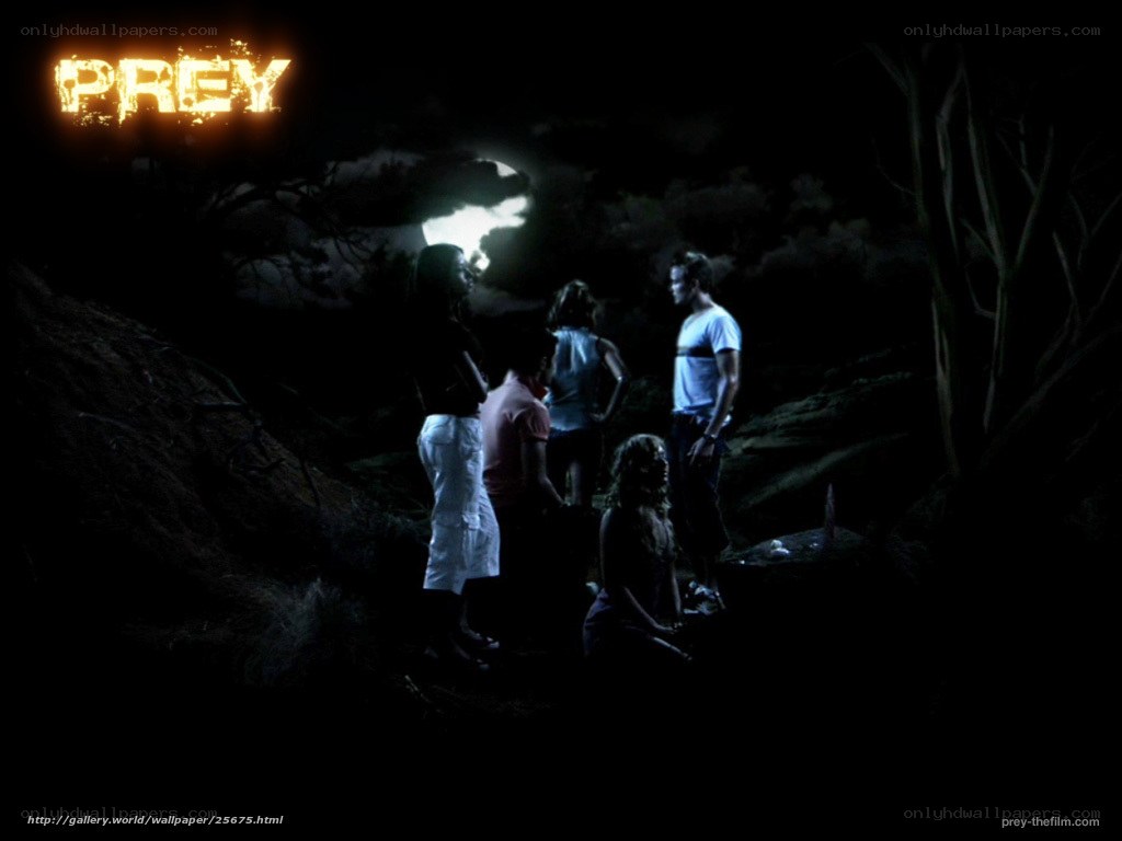 Prey movie scene at night