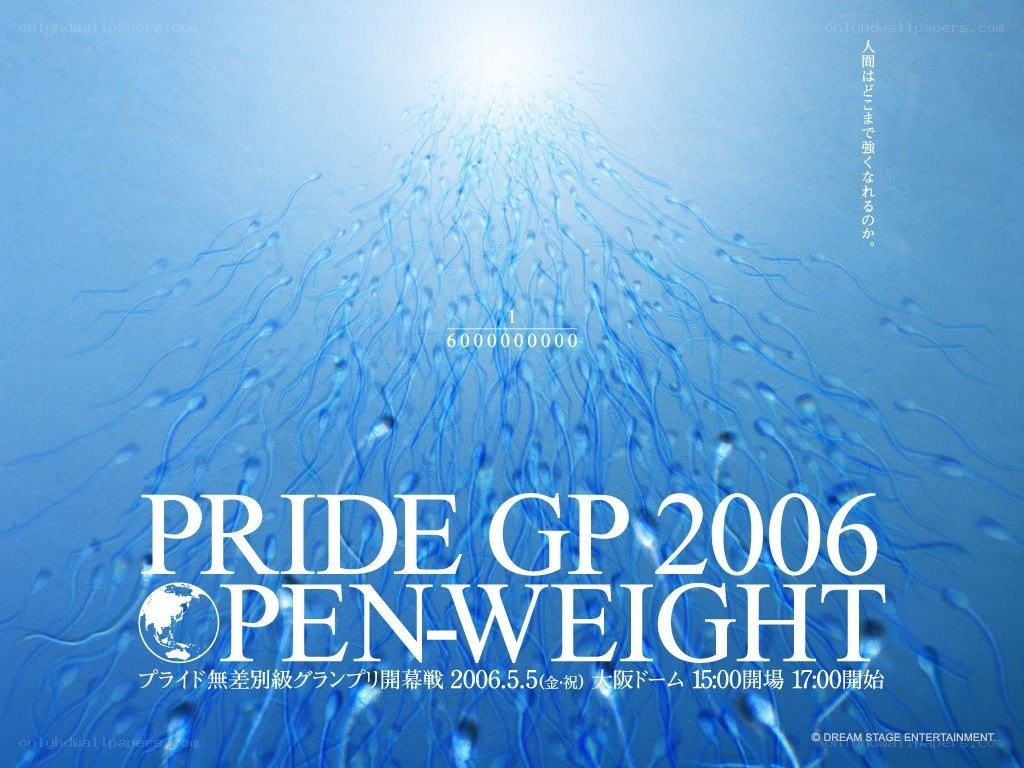 Pride GP 2006 Open-Weight