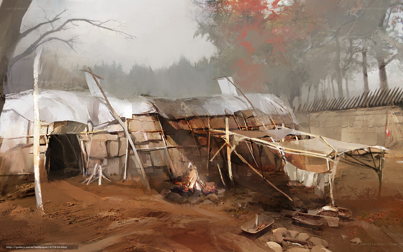 Primitive village in misty forest