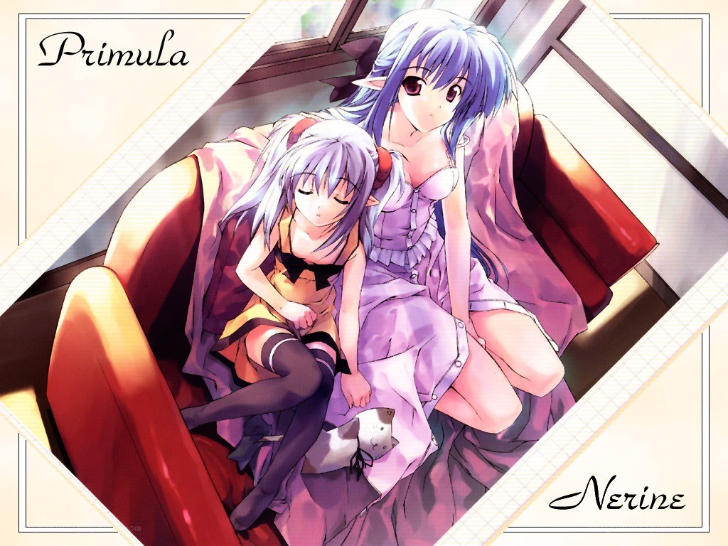Primula and Nerine on a couch