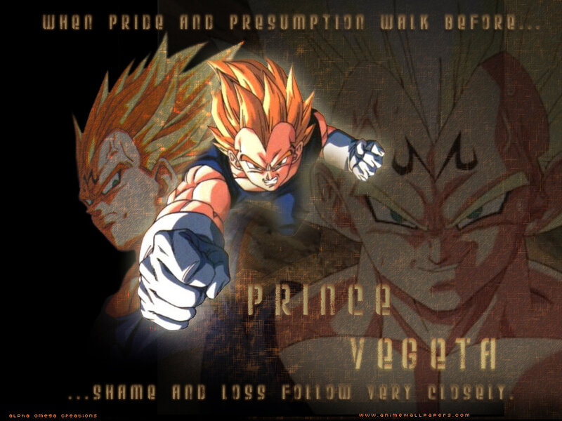 Prince Vegeta wallpaper