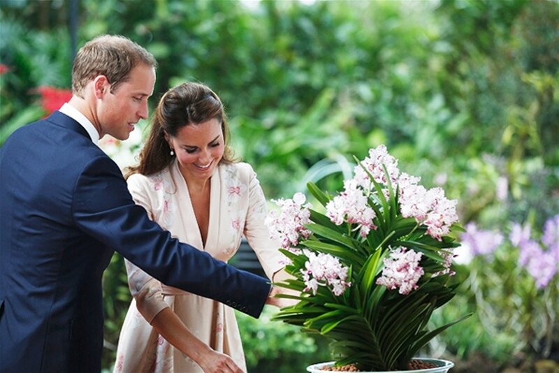 Prince William and Kate Middleton — Green, Calm