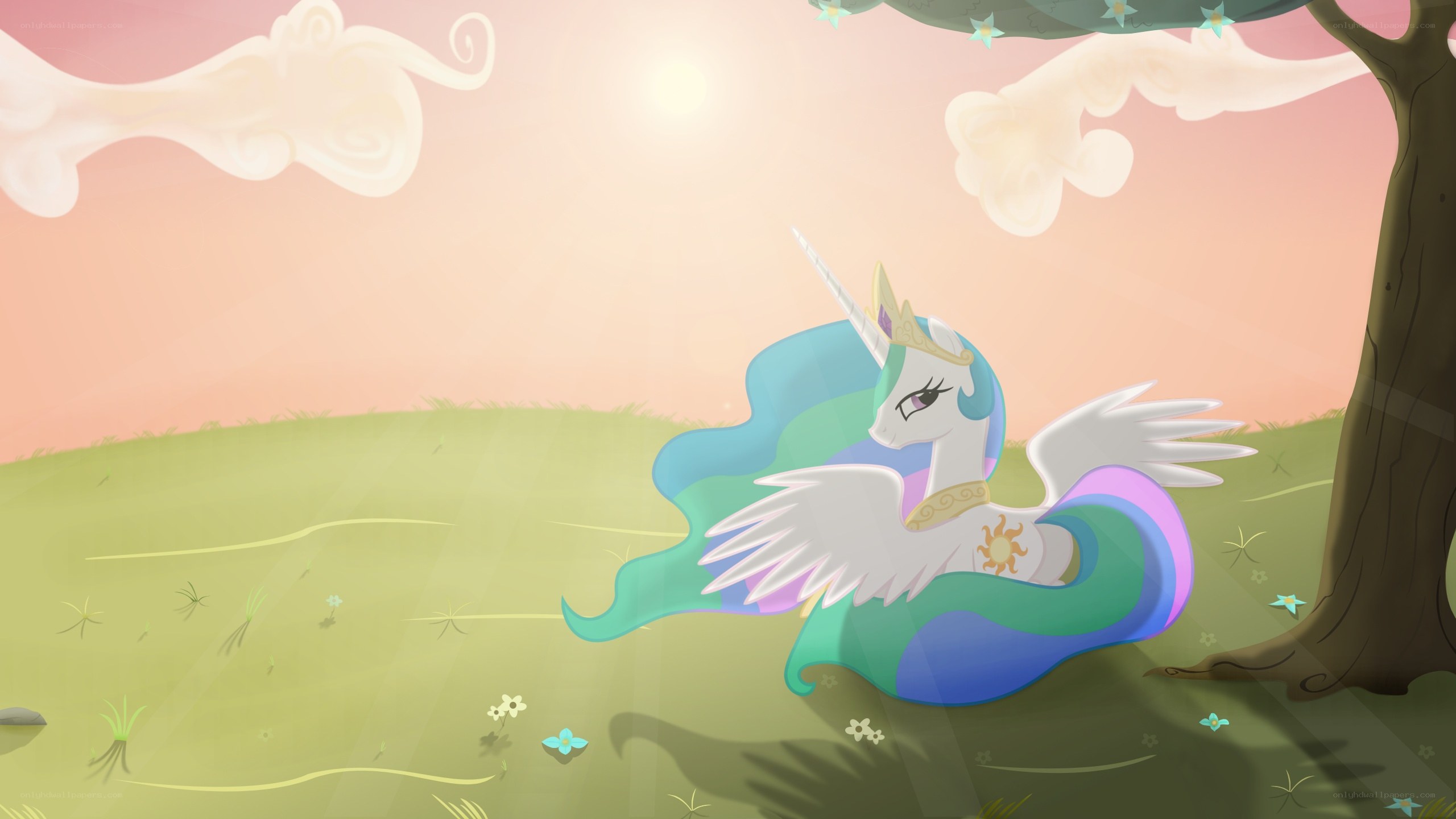 Princess Celestia in a field