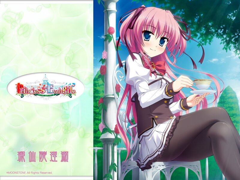 Princess Evangile character art