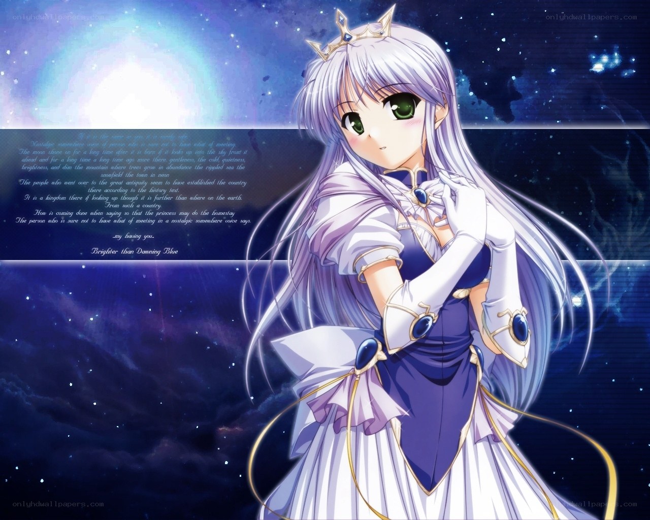 princess in starry night