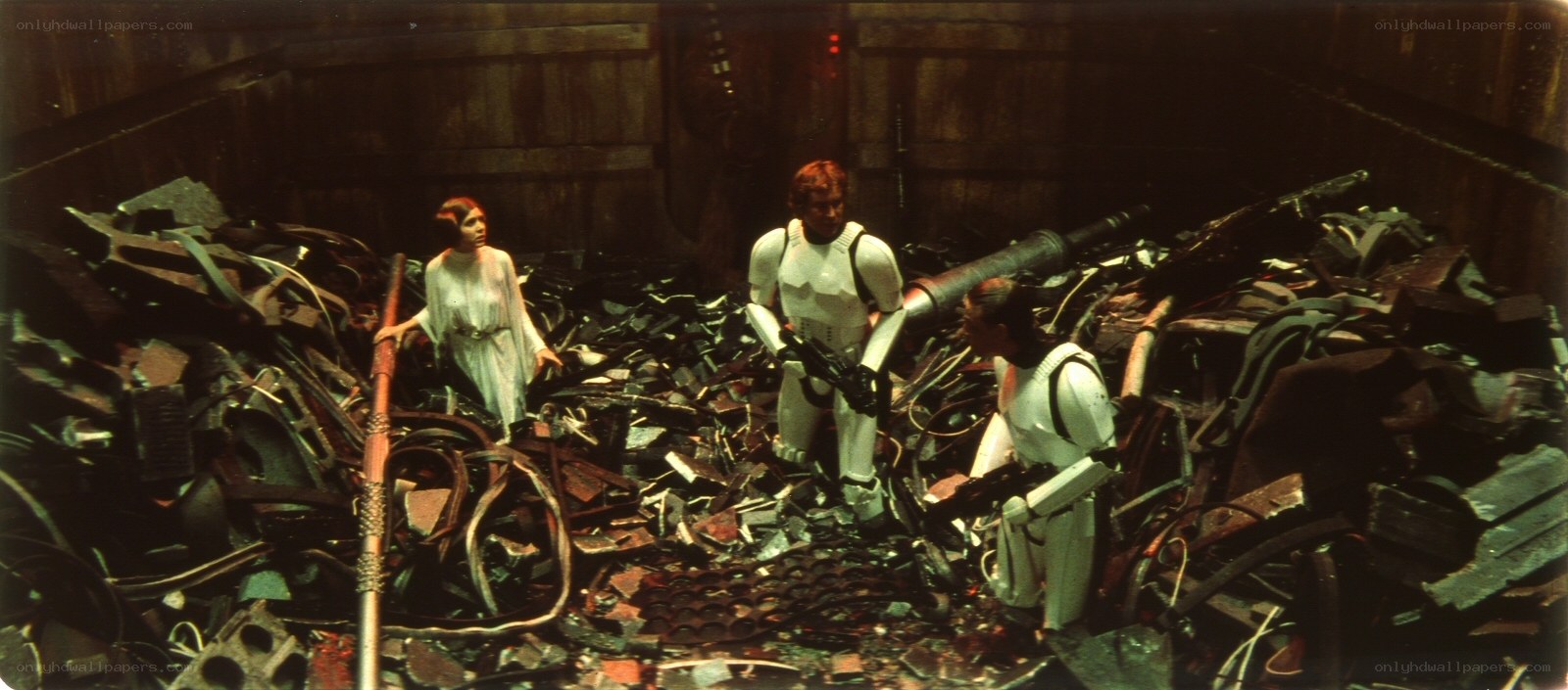 Princess Leia in scrap heap