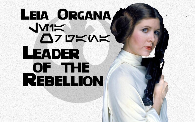 Princess Leia Rebel Leader