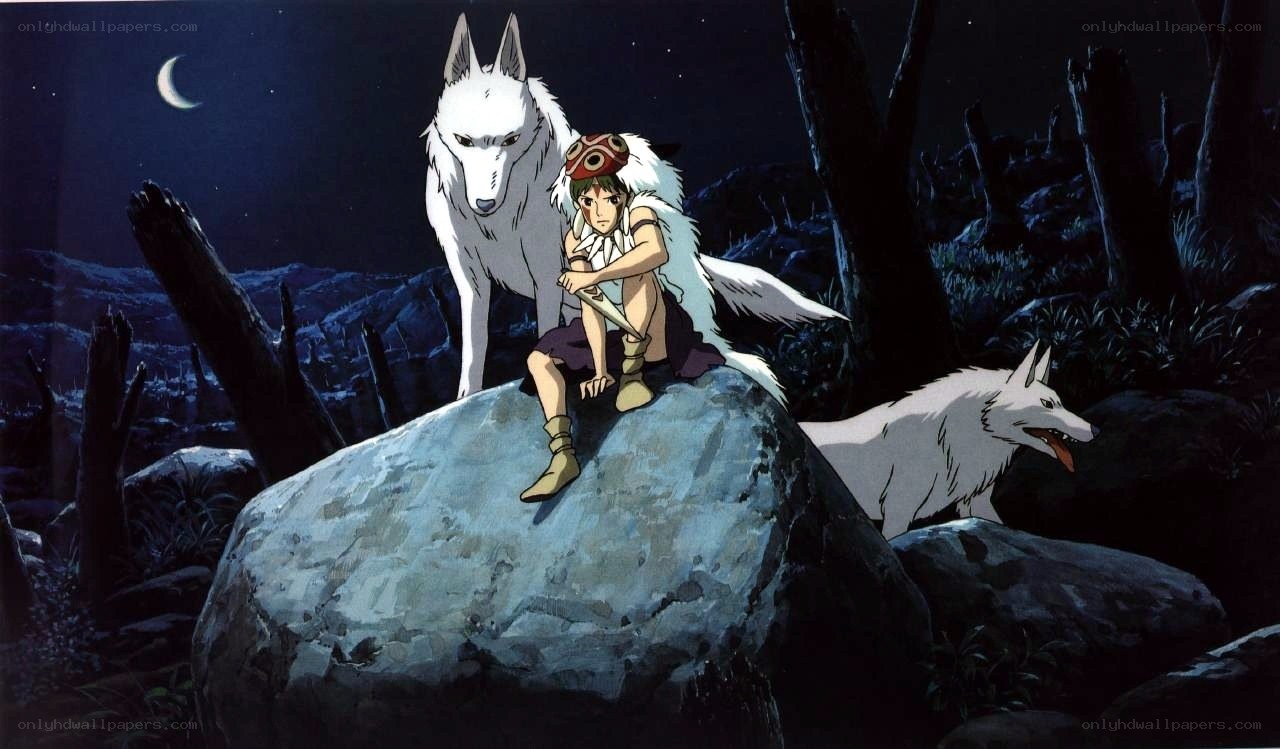 Princess Mononoke at night