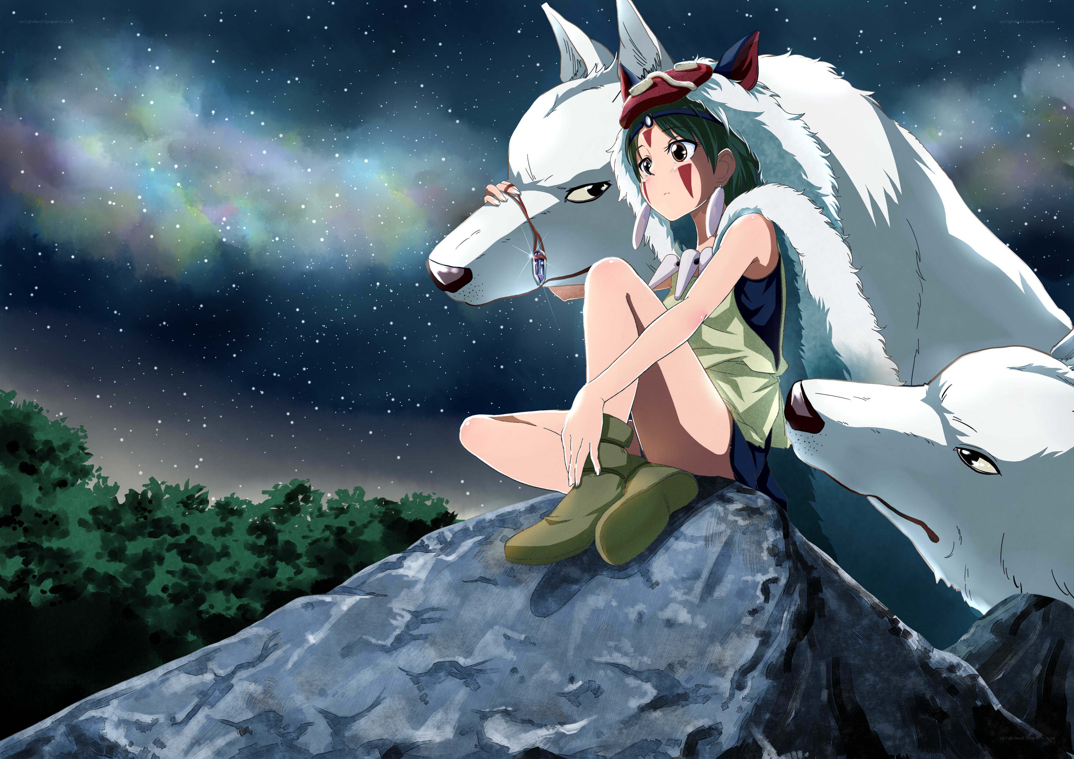 Princess Mononoke under the stars