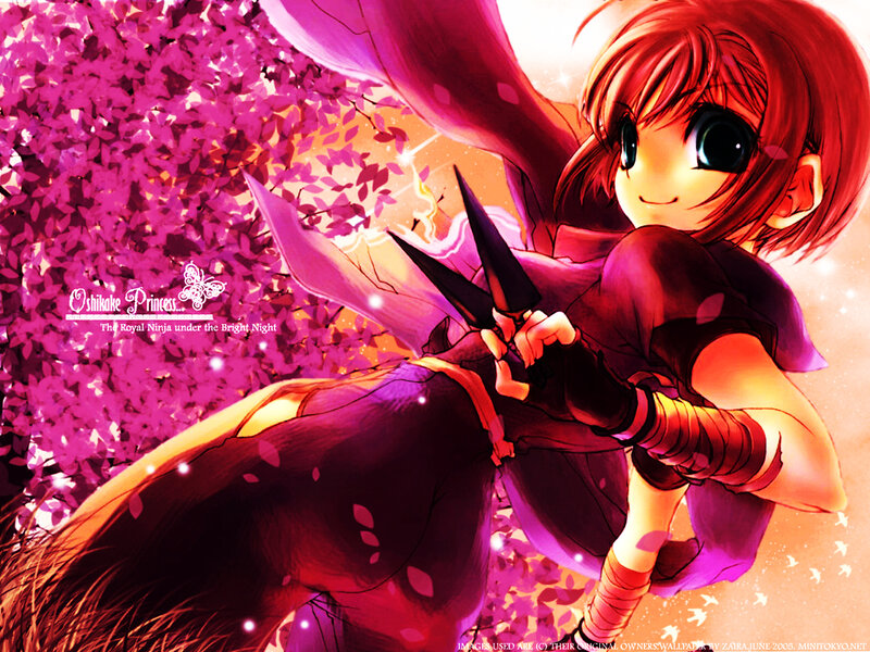 Princess ninja under cherry blossoms