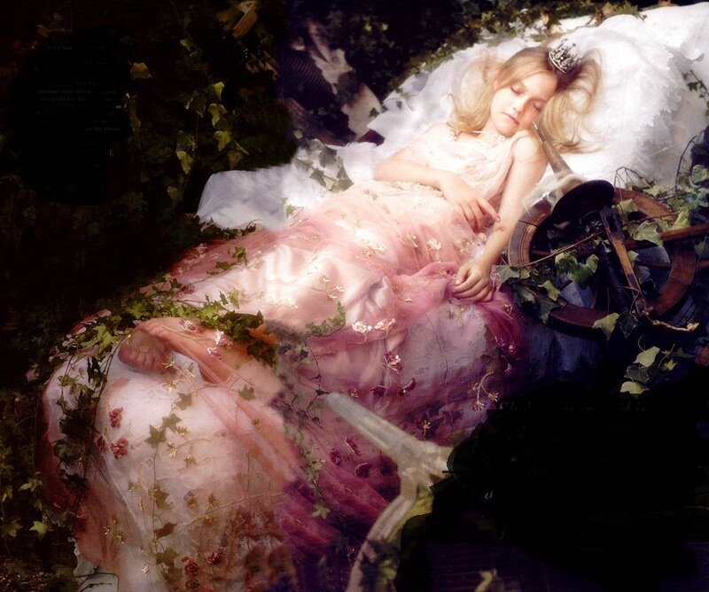 princess sleeping in forest