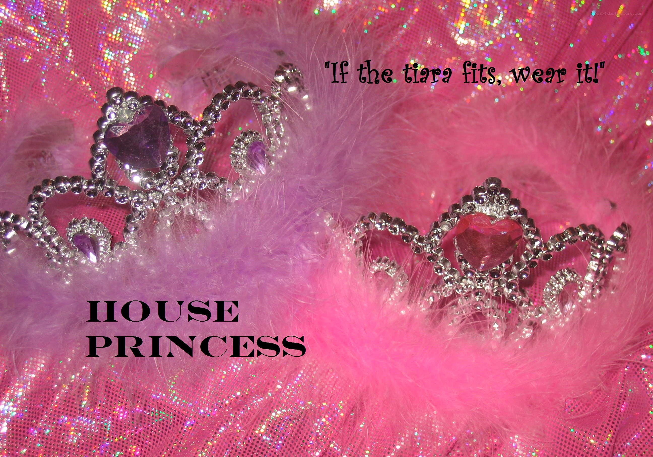 princess tiaras on feathers
