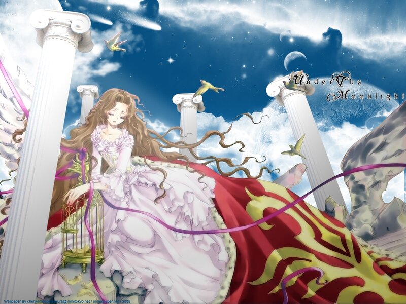 Princess under the moonlight