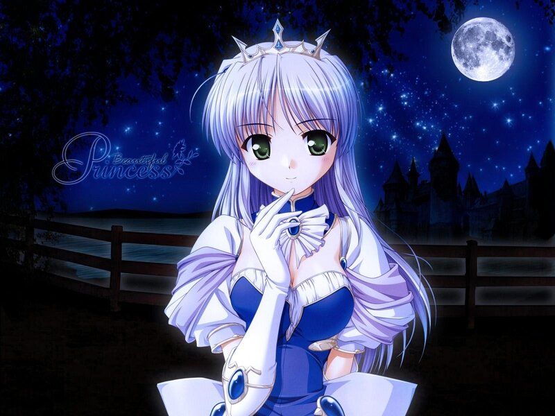princess under the moonlight