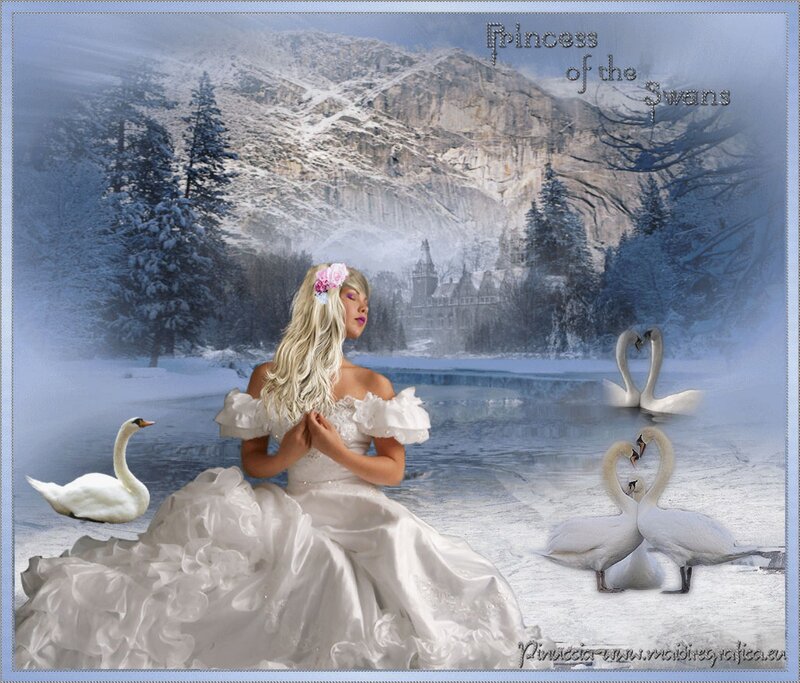 Princess with Swans